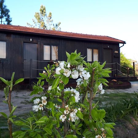 Villa Casinha Do Cedro Baião Esterno foto