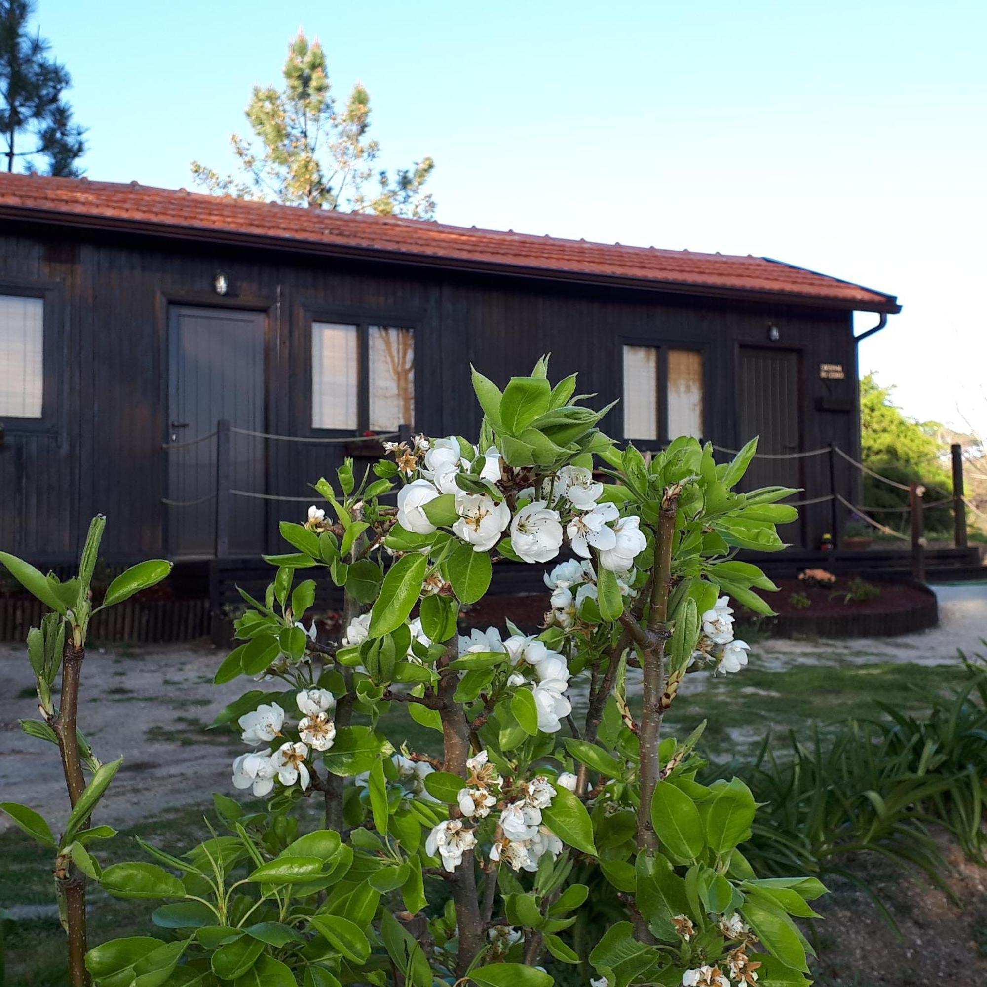 Villa Casinha Do Cedro Baião Esterno foto